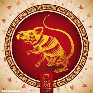 摇钱树四肖八码期期三码必中,实时异文说明法_增强版37.598