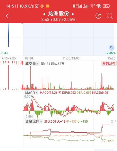 龙州股票，探索与未来前景分析