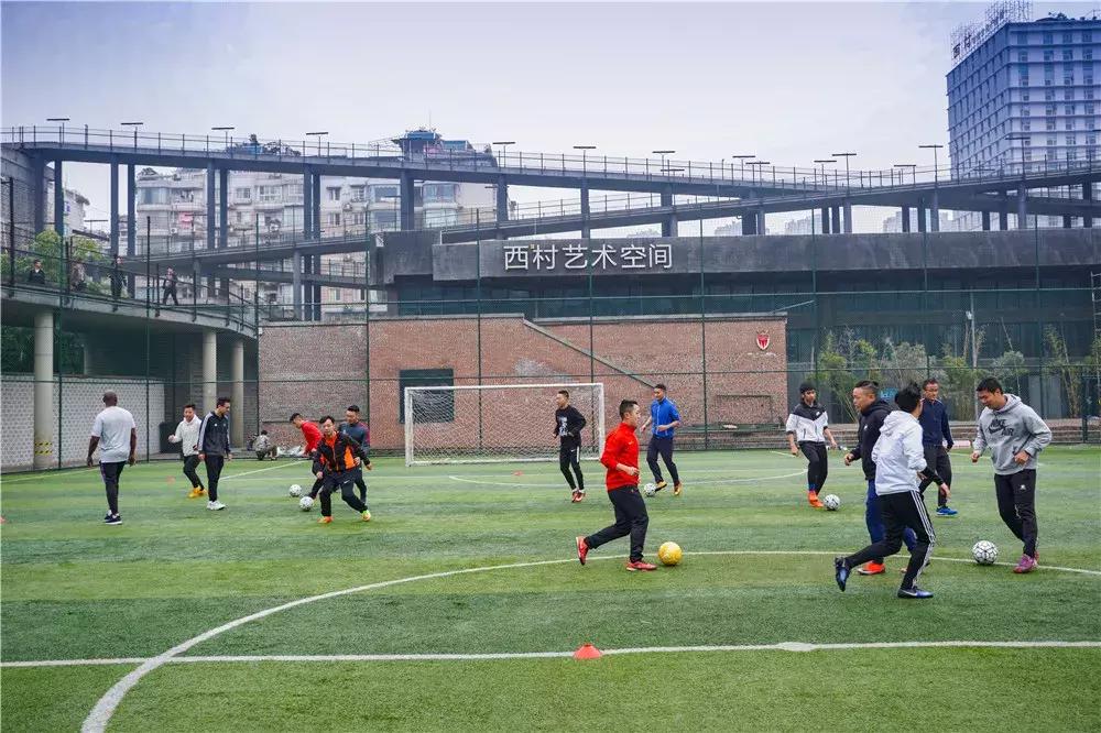 明星属马者的温馨日常