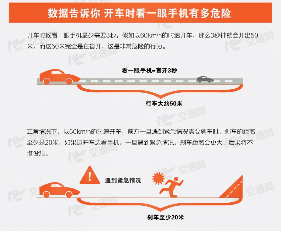 宁波A1驾驶员招聘启事，共探自然美景，寻觅内心宁静之旅