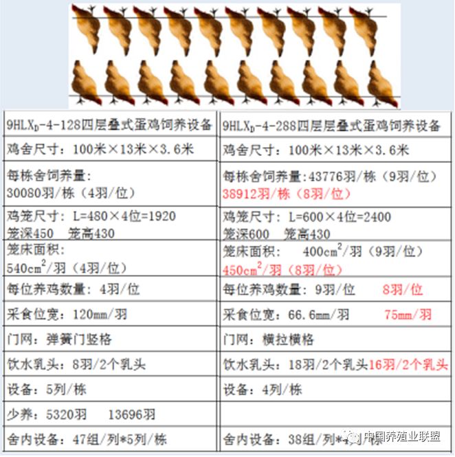 ＂新澳2024天天正版资料大全＂的：策略调整改进_解放版8.24