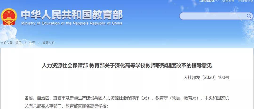 教育职称制度改革最新动态详解，步骤指南与改革进展