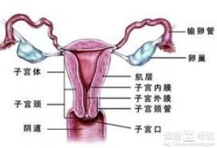 女性结扎最新方法与自然美景的治愈之旅