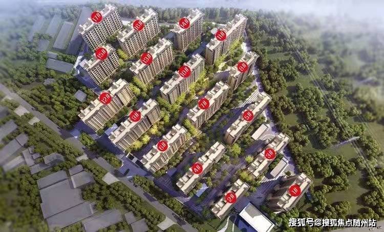临安19楼新闻最新更新，最新消息一览