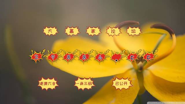 新澳门4949六开彩,快速问题解答_业界版50.779