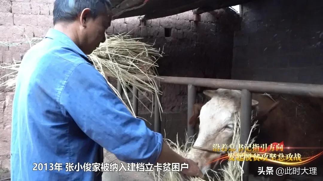 云南大理巍山最新新闻，获取指南与实时更新